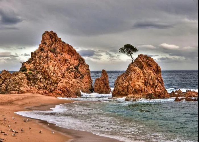 Apartment Lets Holidays Cozy Near To The Castle *